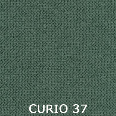 Curio 37