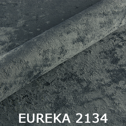Eureka 2134