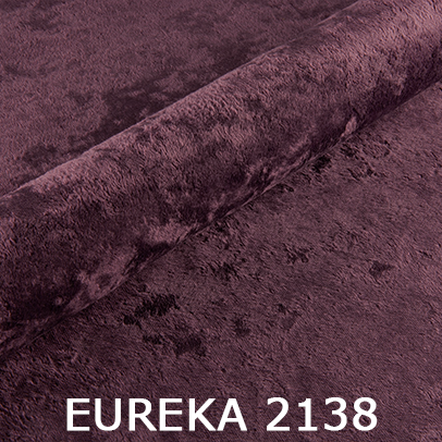 Eureka 2138