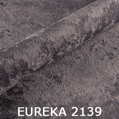 Eureka 2139
