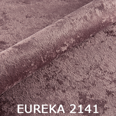 Eureka 2141