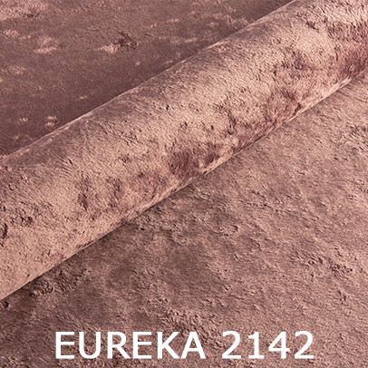 Eureka 2142