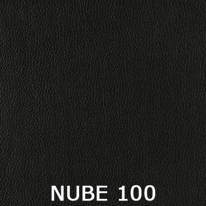 Nube 100