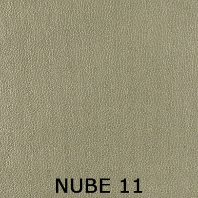 Nube 11