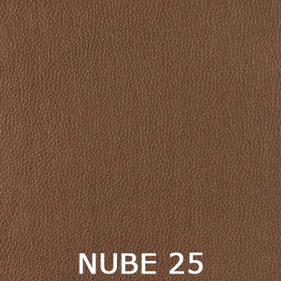 Nube 25