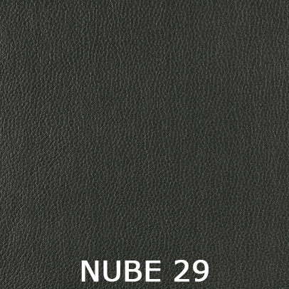 Nube 29