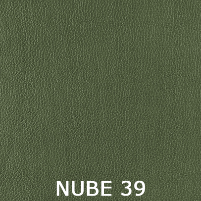 Nube 39
