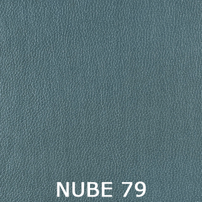 Nube 79