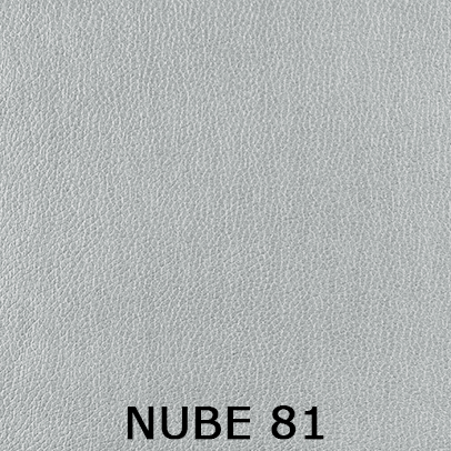 Nube 81