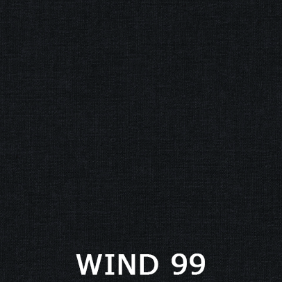 Wind 99