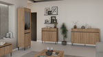 Zestaw mebli OSAKA Szafka wisząca + Szafka RTV + Komoda + Stolik DĄB EVOKE