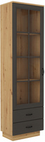 Witryna FLAWIA 60 1D2S Dąb Artisan / Grafit