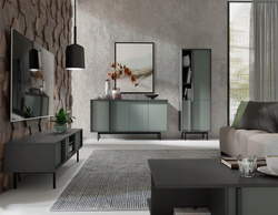 Meble ALSY, Zestaw nr 1, Meble do Salonu ALSY Antracyt / Aloes