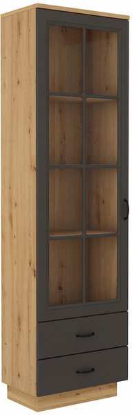 Witryna FLAWIA 60 1D2S Dąb Artisan / Grafit