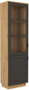 Witryna FLAWIA 60 2D Dąb Artisan / Grafit