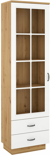 Witryna FLAWIA 60 1D2S Dąb Artisan / Biały