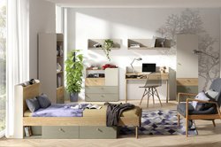 Meble Młodzieżowe YUKI, Zestaw nr 1, Meble do Salonu, Eukaliptus