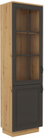 Witryna FLAWIA 60 2D Dąb Artisan / Grafit