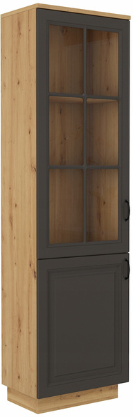 Witryna FLAWIA 60 2D Dąb Artisan / Grafit